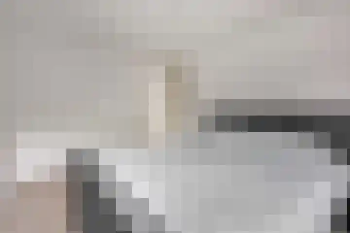 Schimmelpennincklaan 24 Barneveld thumbnail 19