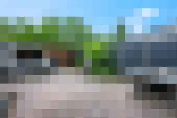 Schimmelpennincklaan 24 Barneveld thumbnail 30