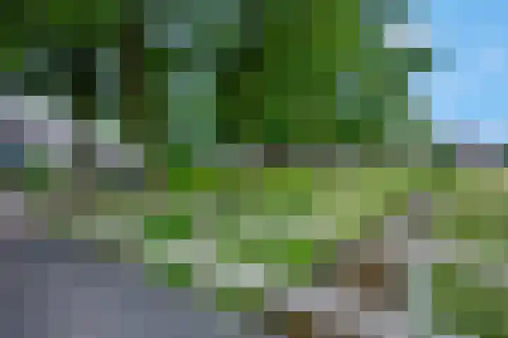 Schimmelpennincklaan 24 Barneveld thumbnail 35