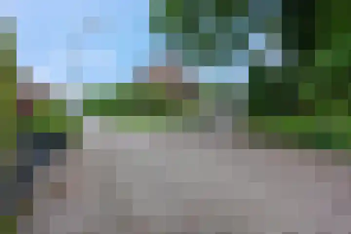 Schimmelpennincklaan 24 Barneveld thumbnail 36