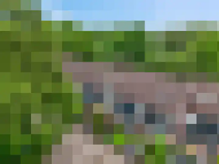 Schimmelpennincklaan 24 Barneveld thumbnail 38