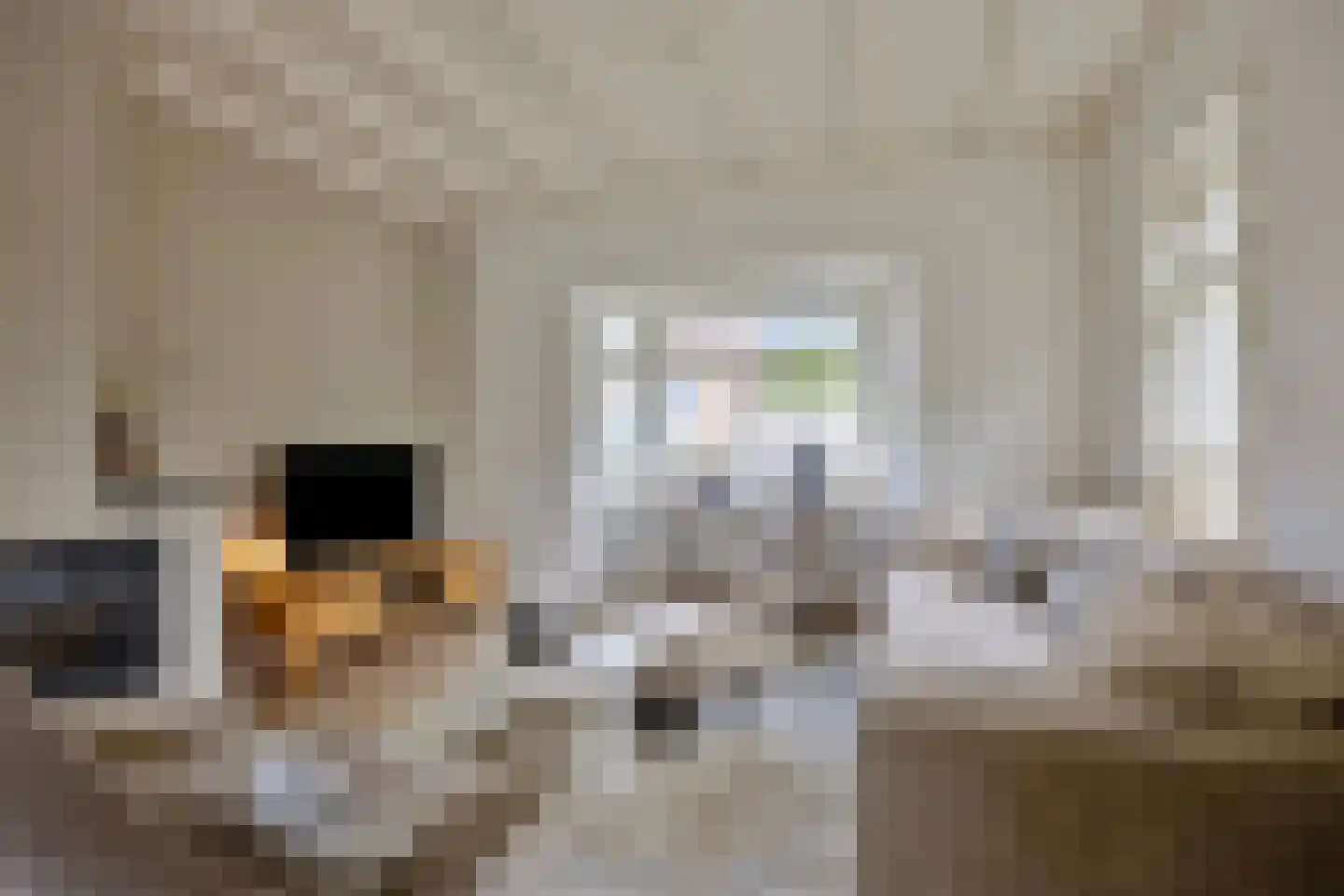 Schimmelpennincklaan 26 Wijhe thumbnail 11