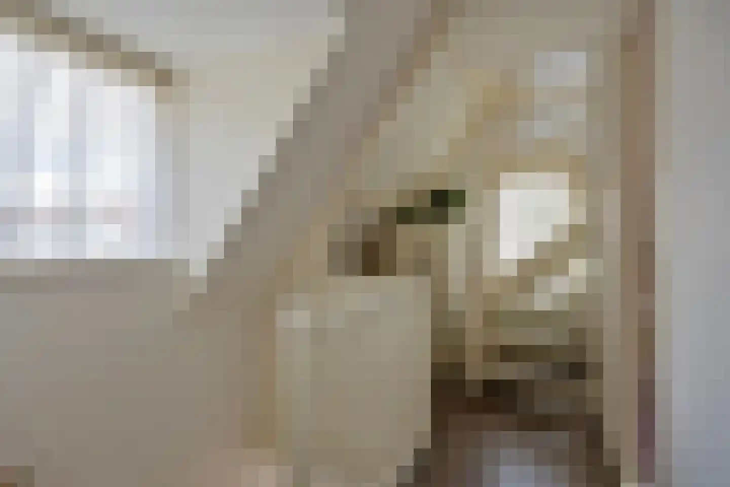 Schimmelpennincklaan 26 Wijhe thumbnail 25
