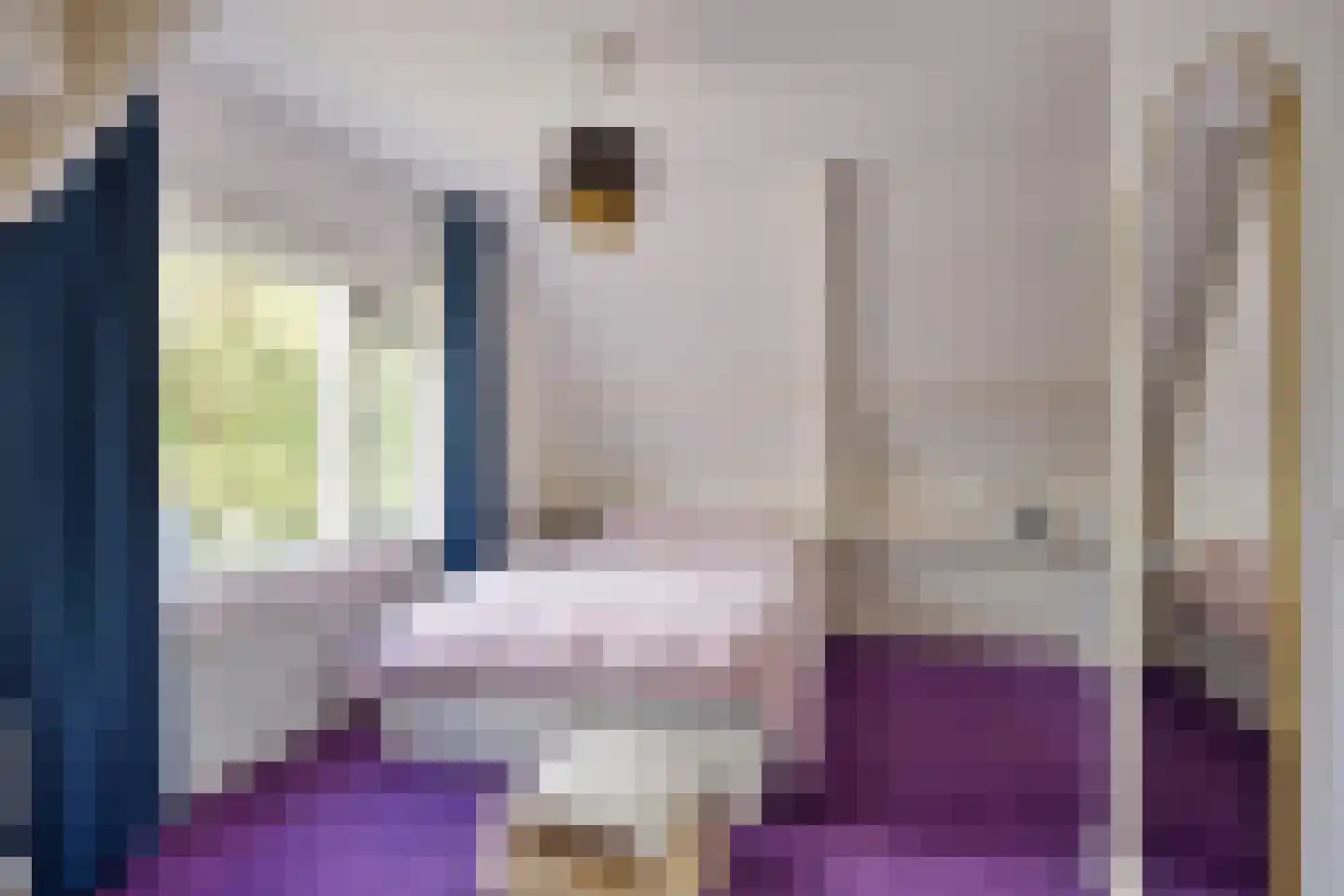 Schimmelpennincklaan 26 Wijhe thumbnail 26