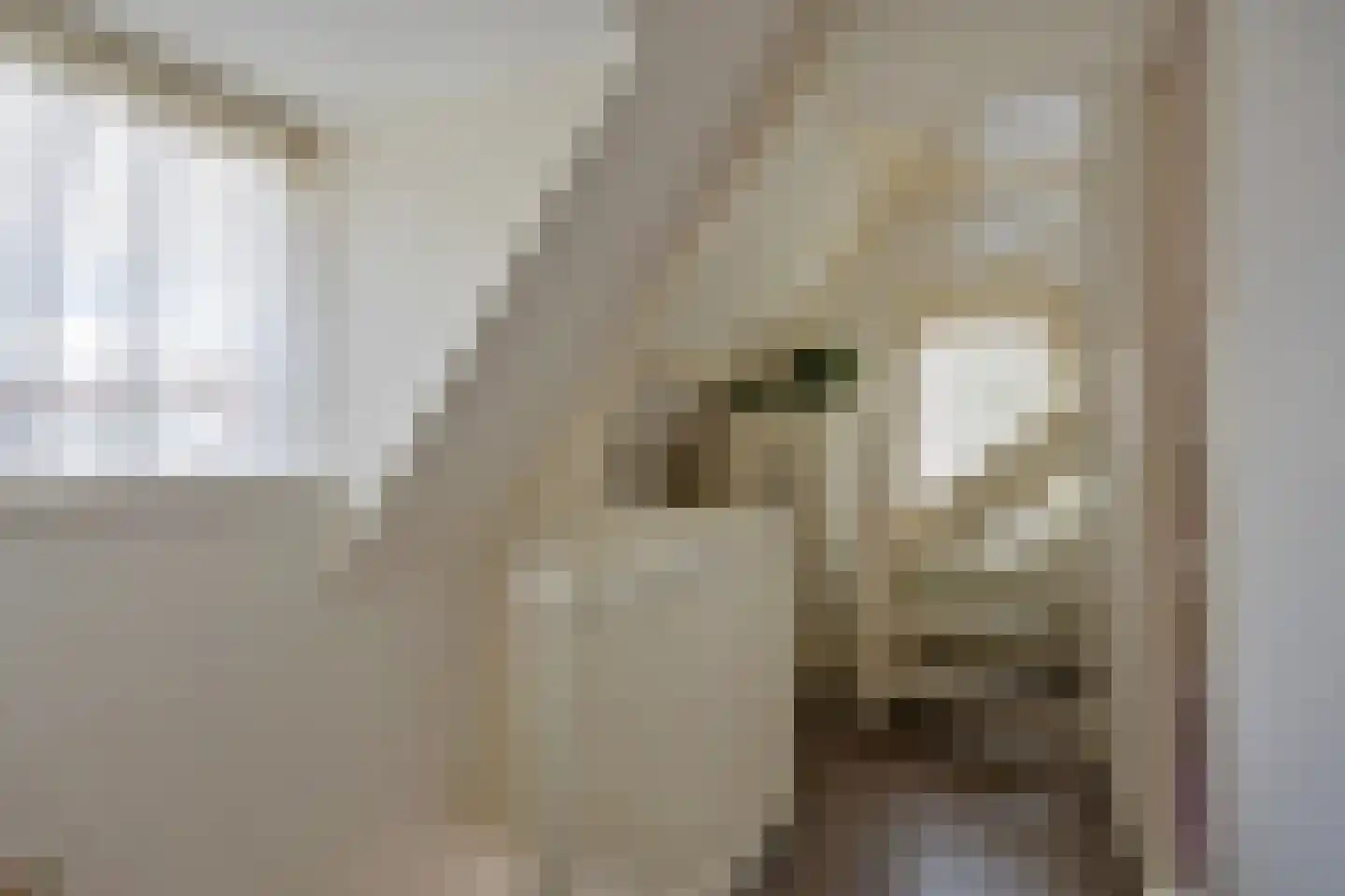 Schimmelpennincklaan 26 Wijhe thumbnail 26