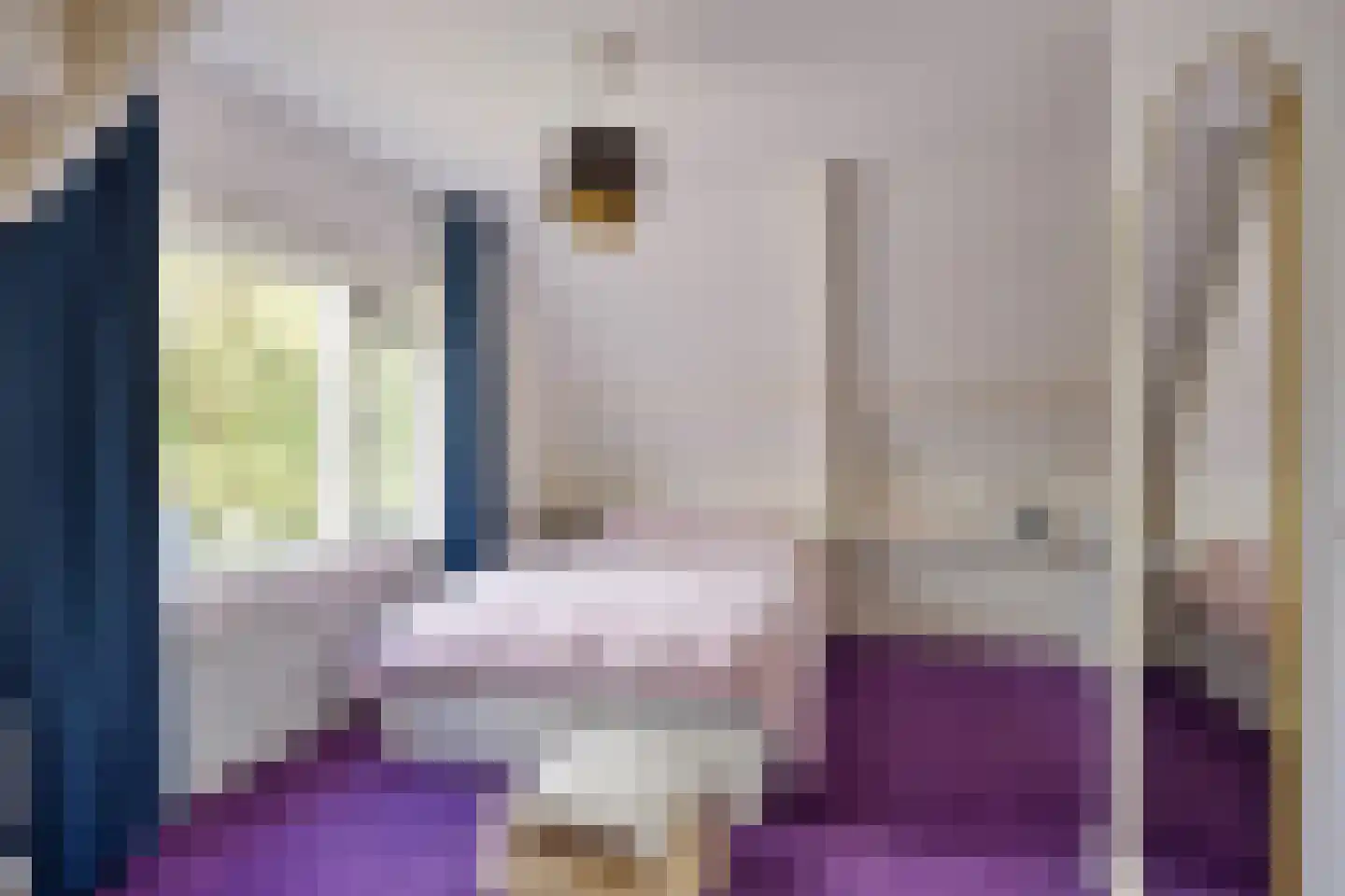 Schimmelpennincklaan 26 Wijhe thumbnail 27