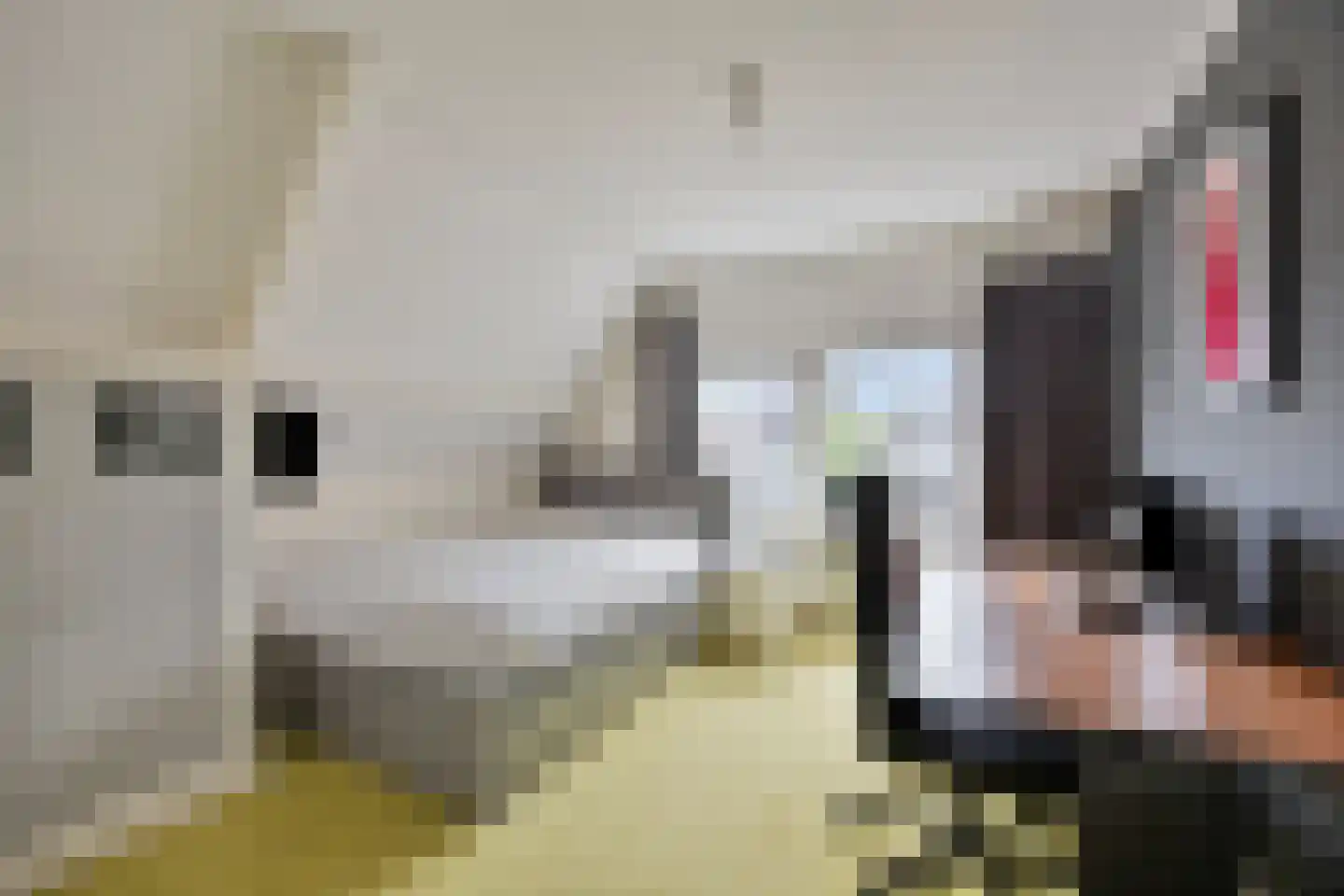 Schimmelpennincklaan 26 Wijhe thumbnail 28