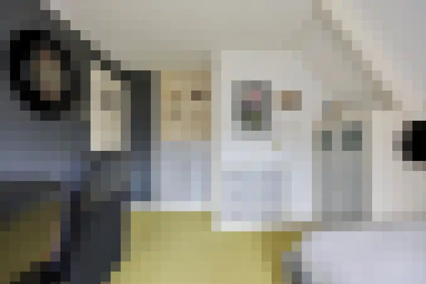 Schimmelpennincklaan 26 Wijhe thumbnail 29