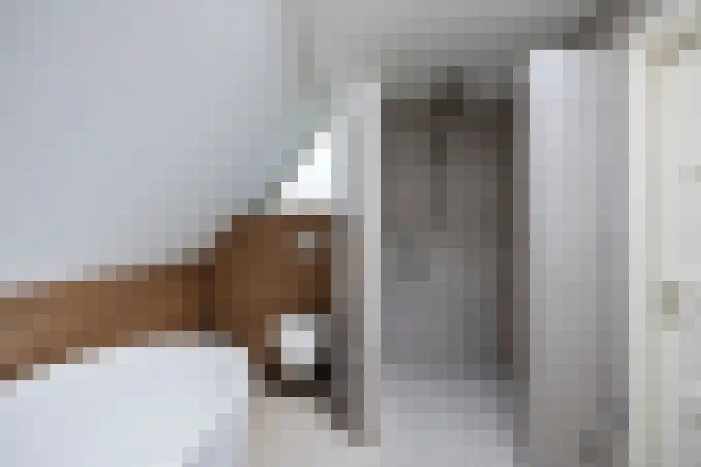 Schimmelpennincklaan 26 Wijhe thumbnail 35