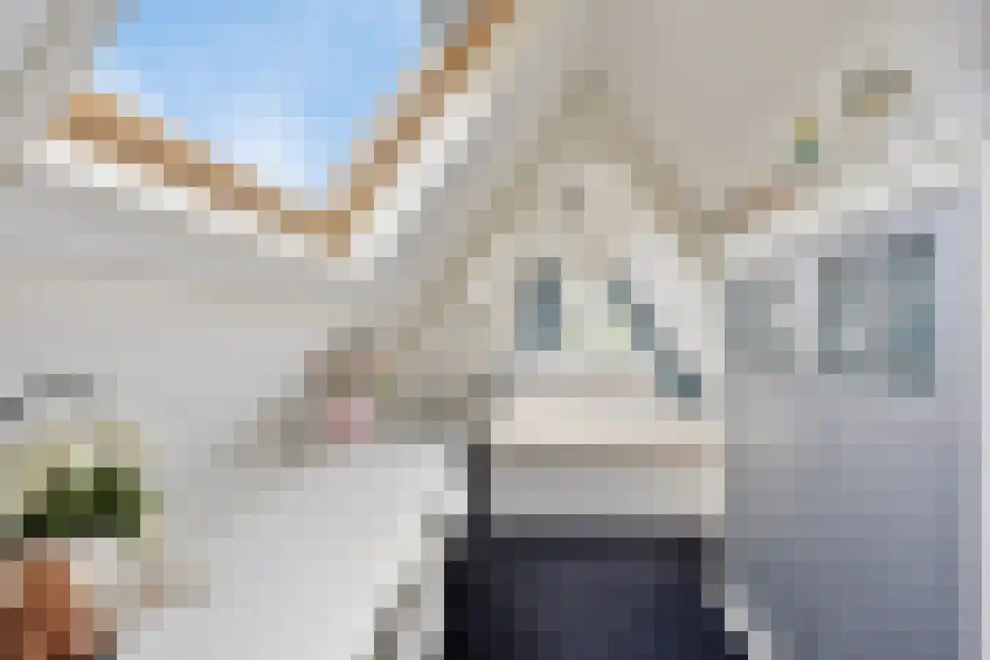 Schimmelpennincklaan 26 Wijhe thumbnail 38