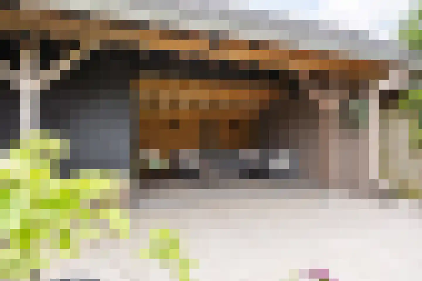 Schimmelpennincklaan 26 Wijhe thumbnail 43