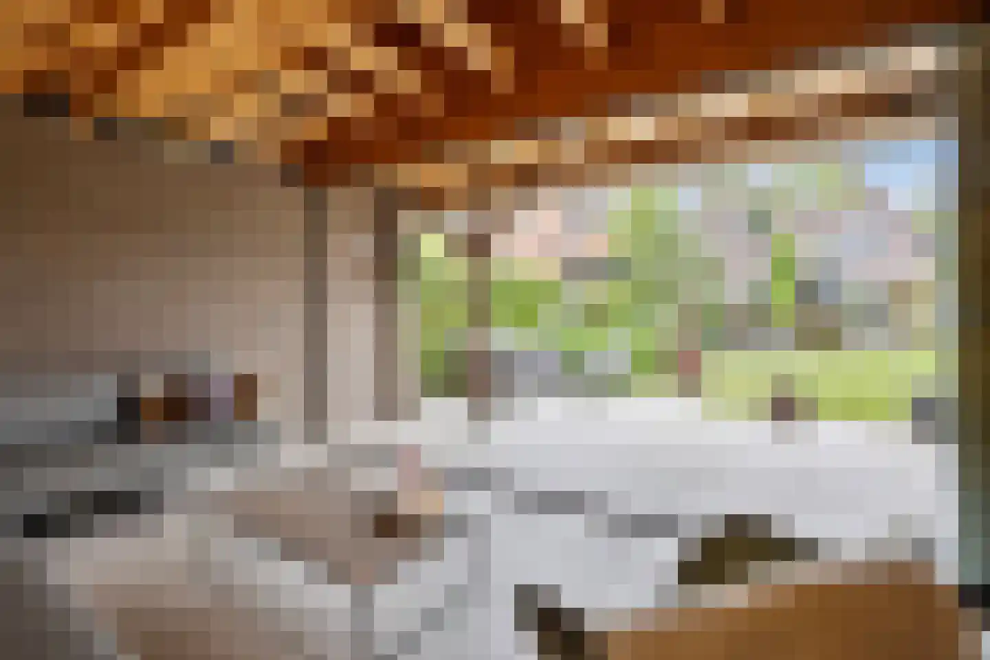 Schimmelpennincklaan 26 Wijhe thumbnail 45