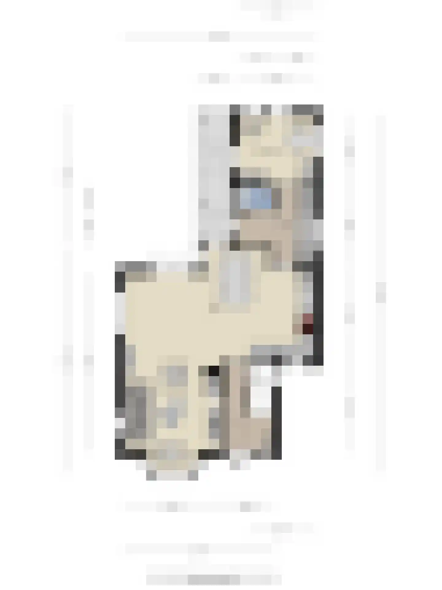 Schimmelpennincklaan 26 Wijhe thumbnail 48