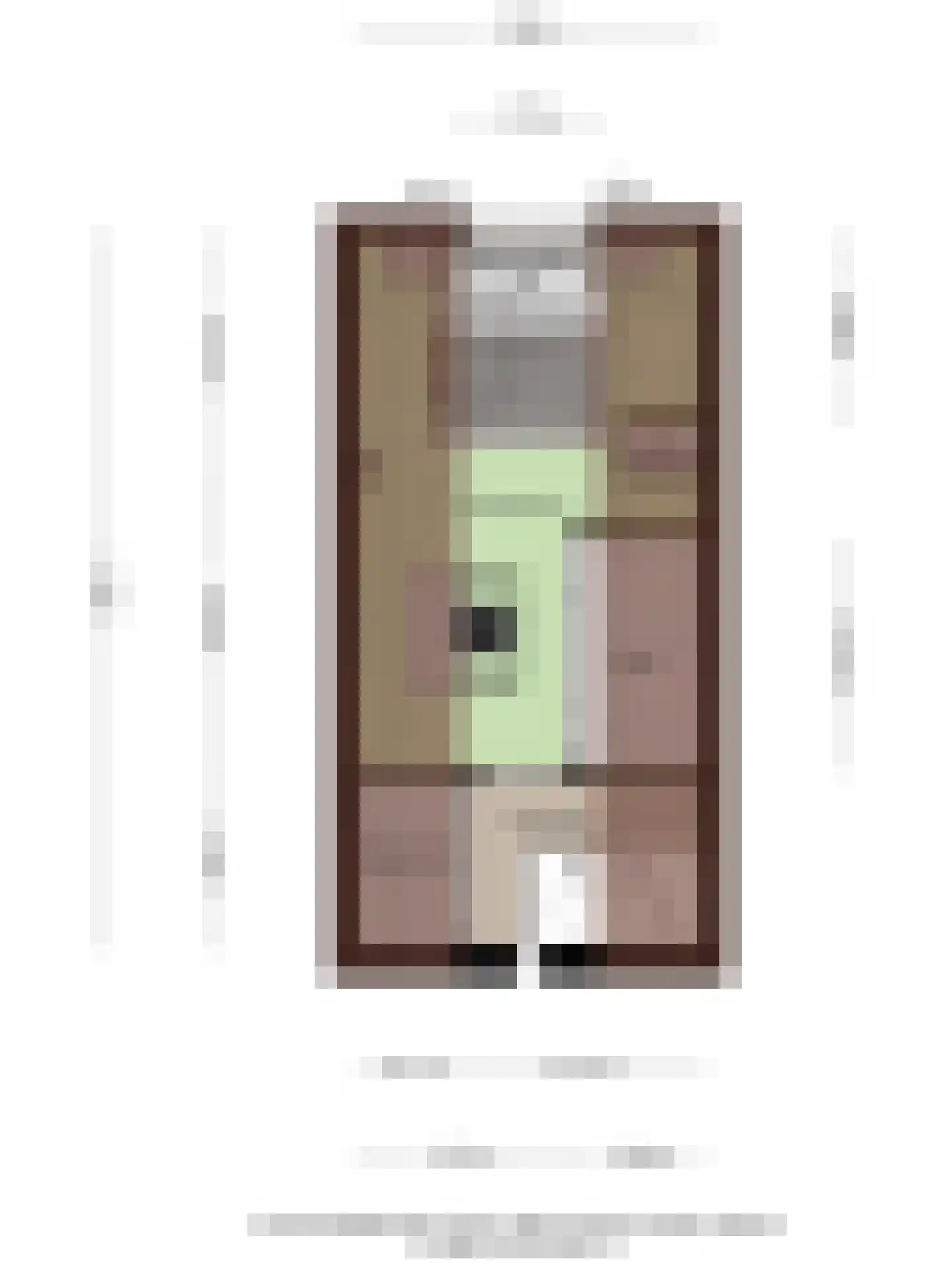 Schimmelpennincklaan 26 Wijhe thumbnail 50
