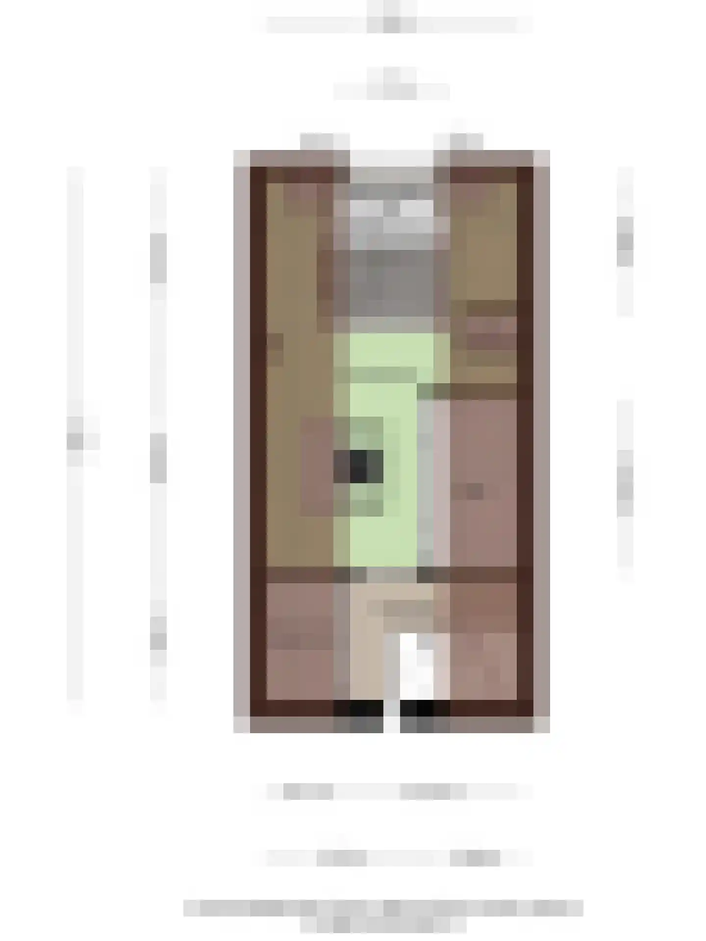 Schimmelpennincklaan 26 Wijhe thumbnail 53