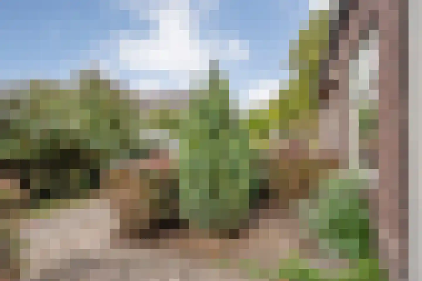 Schimmelpennincklaan 3 Wijhe thumbnail 10