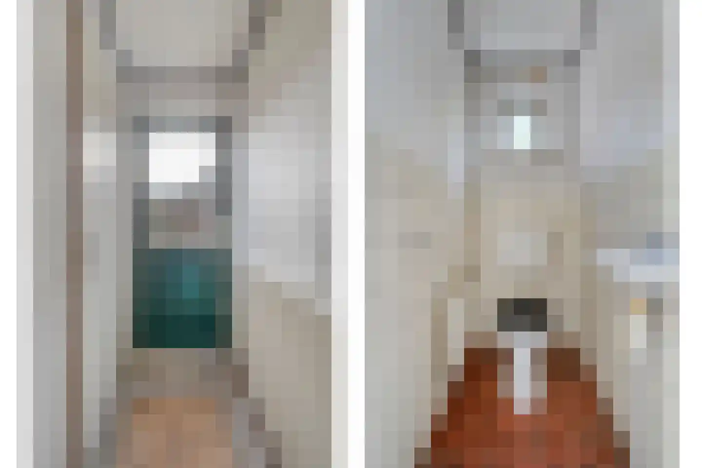 Schimmelpennincklaan 3 Wijhe thumbnail 13