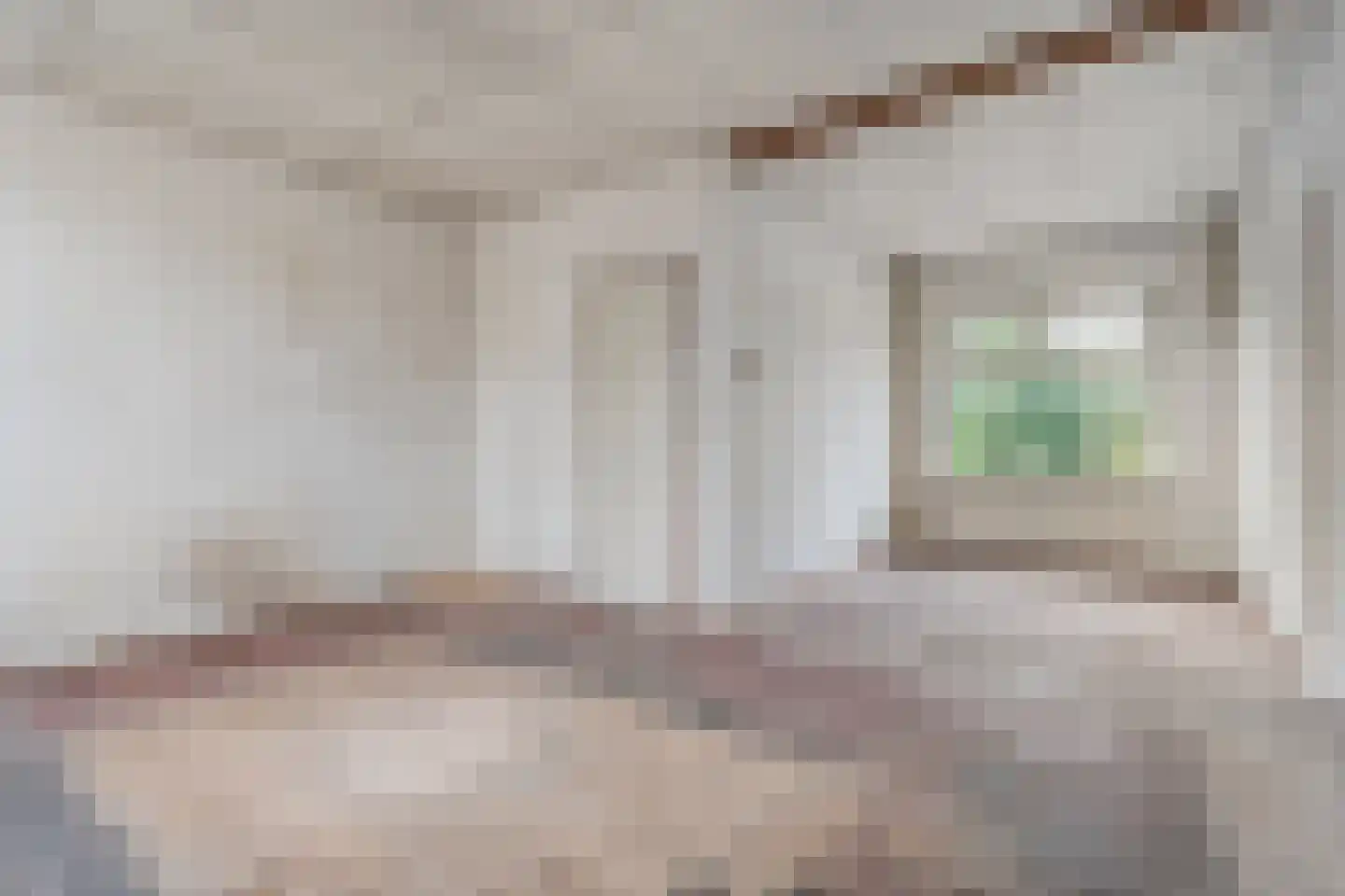 Schimmelpennincklaan 3 Wijhe thumbnail 15
