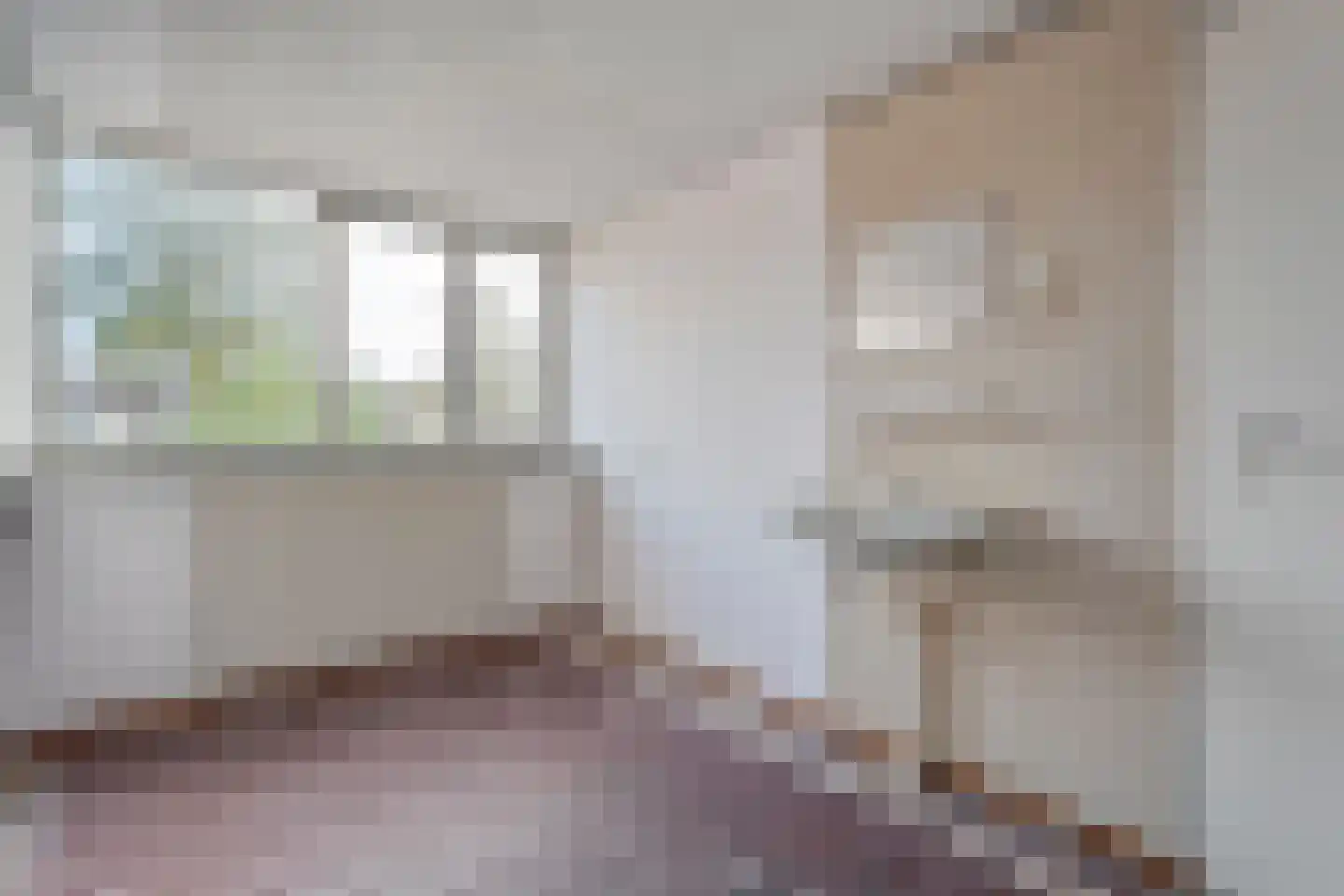 Schimmelpennincklaan 3 Wijhe thumbnail 31