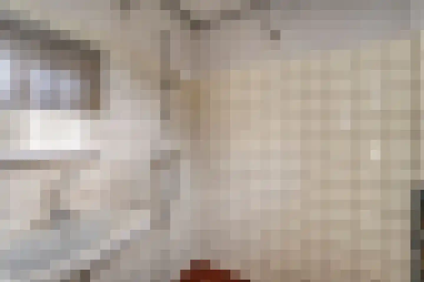 Schimmelpennincklaan 3 Wijhe thumbnail 33