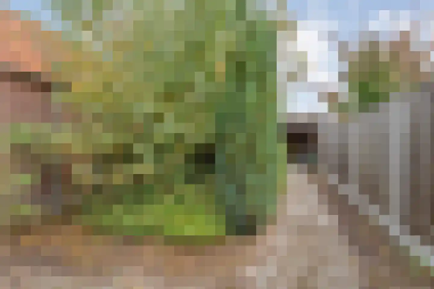 Schimmelpennincklaan 3 Wijhe thumbnail 40