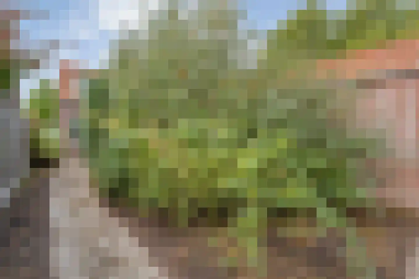 Schimmelpennincklaan 3 Wijhe thumbnail 41