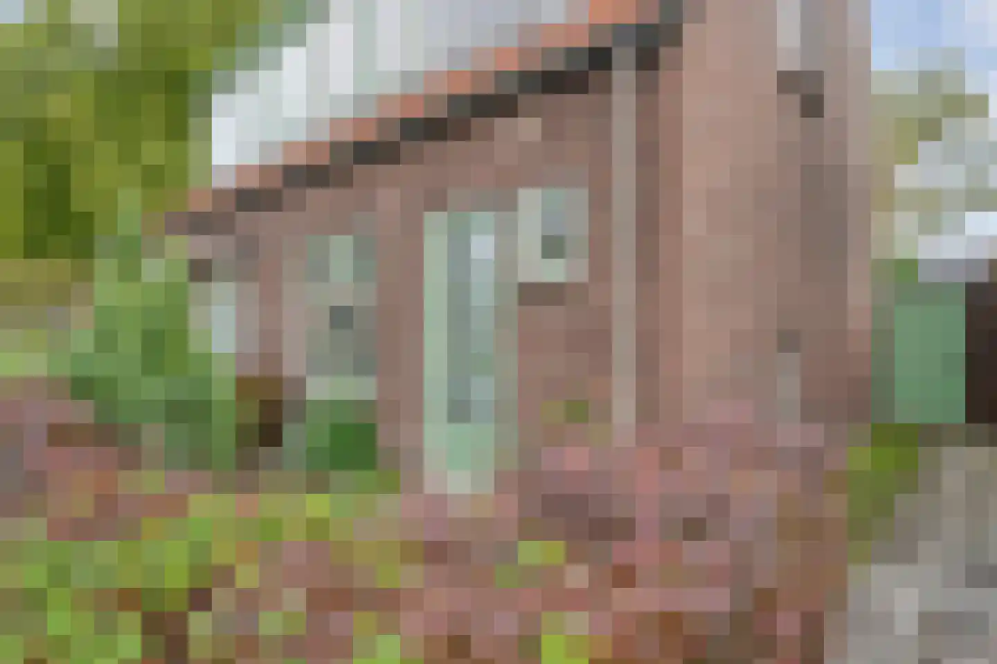 Schimmelpennincklaan 3 Wijhe thumbnail 5