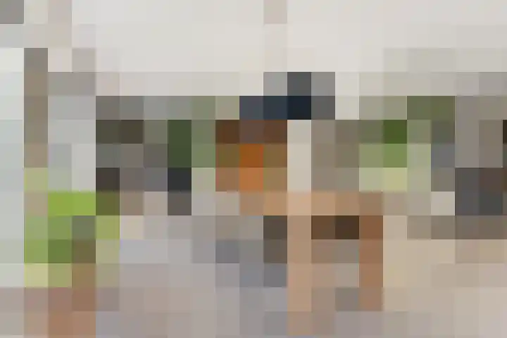 Schimmelpennincklaan 35 Etten-Leur thumbnail 10
