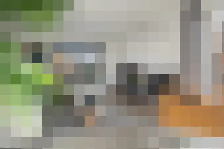 Schimmelpennincklaan 35 Etten-Leur thumbnail 12