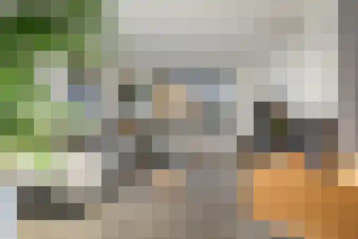 Schimmelpennincklaan 35 Etten-Leur thumbnail 13