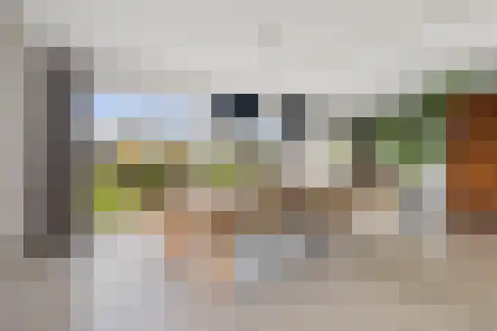 Schimmelpennincklaan 35 Etten-Leur thumbnail 15