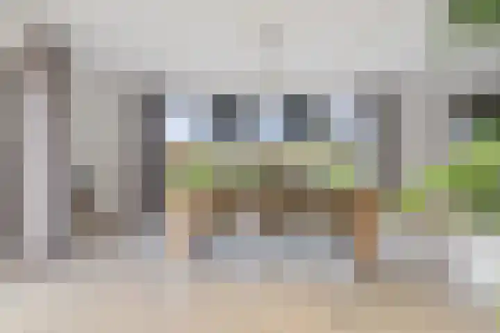 Schimmelpennincklaan 35 Etten-Leur thumbnail 16
