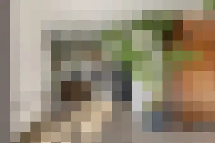 Schimmelpennincklaan 35 Etten-Leur thumbnail 19