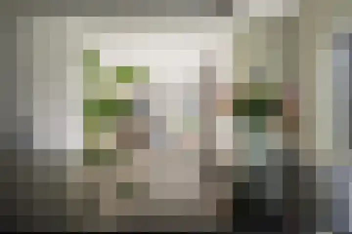 Schimmelpennincklaan 35 Etten-Leur thumbnail 26