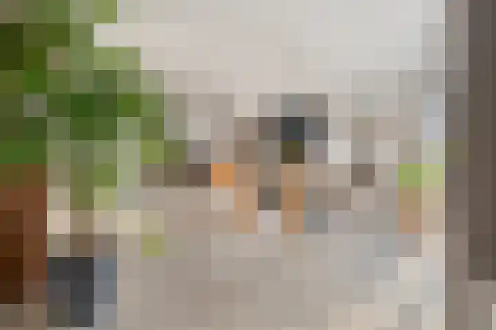 Schimmelpennincklaan 35 Etten-Leur thumbnail 27