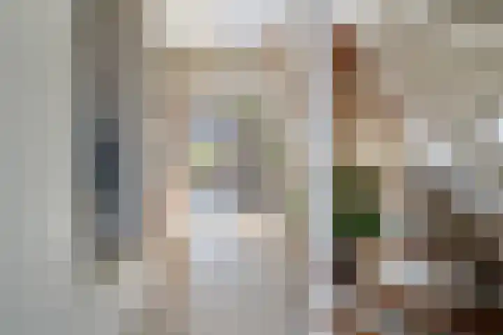 Schimmelpennincklaan 35 Etten-Leur thumbnail 28