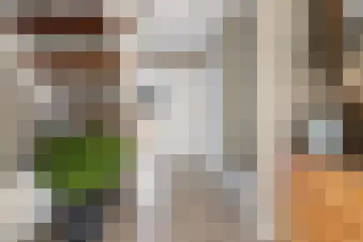 Schimmelpennincklaan 35 Etten-Leur thumbnail 29