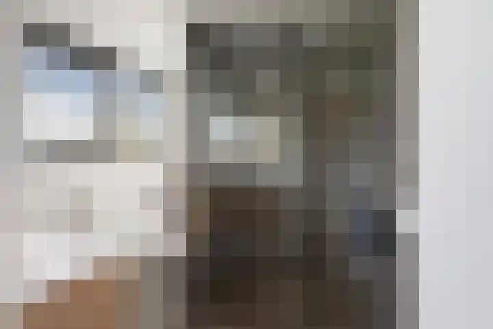 Schimmelpennincklaan 35 Etten-Leur thumbnail 37