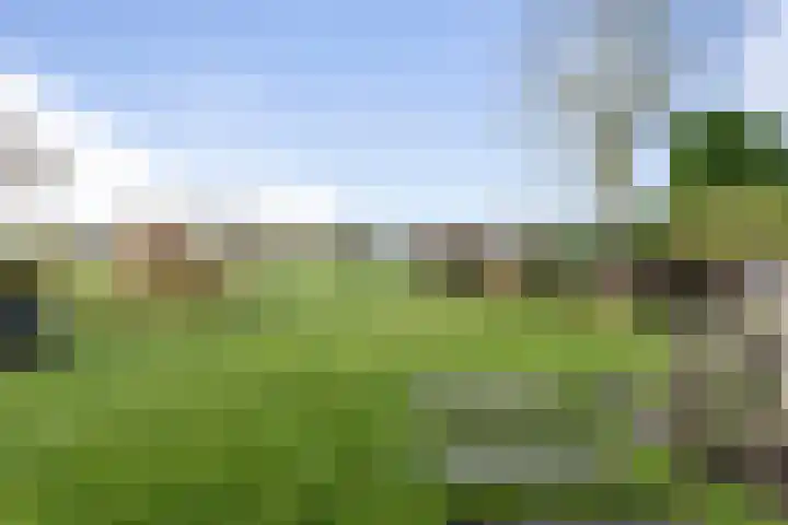 Schimmelpennincklaan 35 Etten-Leur thumbnail 54