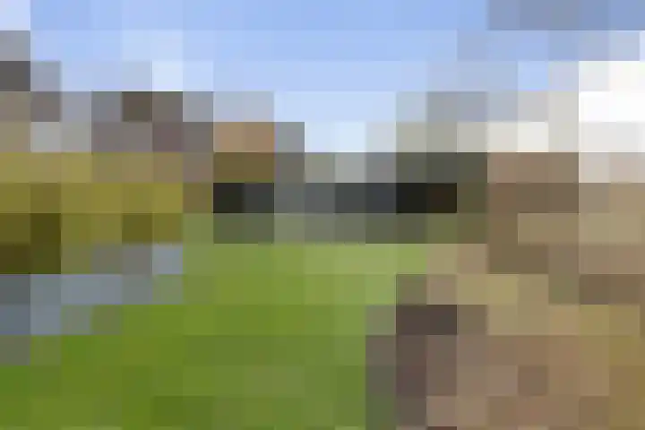 Schimmelpennincklaan 35 Etten-Leur thumbnail 60