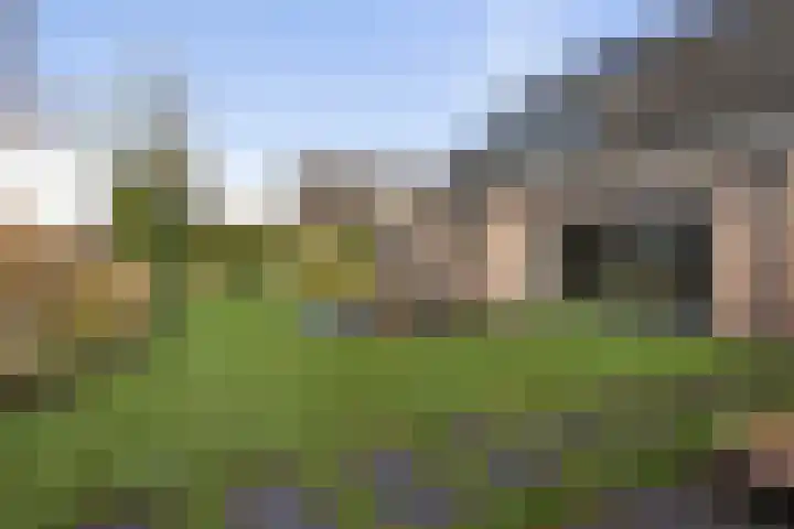 Schimmelpennincklaan 35 Etten-Leur thumbnail 63