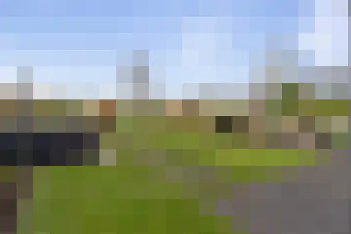 Schimmelpennincklaan 35 Etten-Leur thumbnail 65