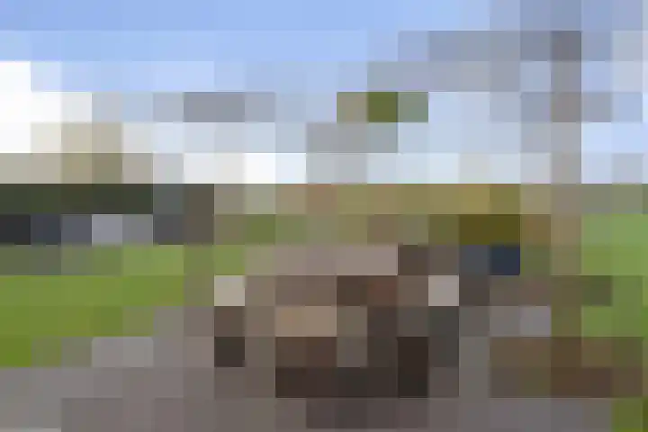 Schimmelpennincklaan 35 Etten-Leur thumbnail 68