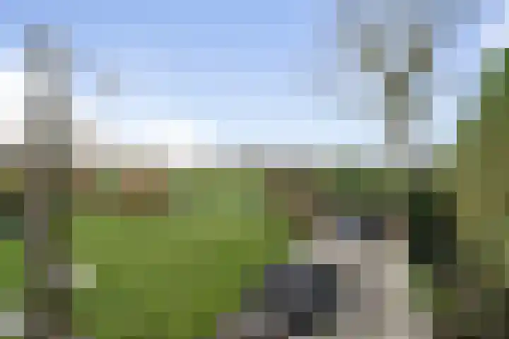 Schimmelpennincklaan 35 Etten-Leur thumbnail 69
