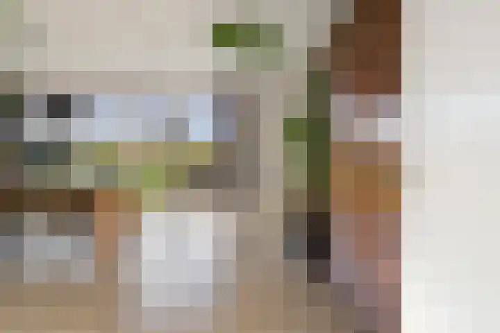 Schimmelpennincklaan 35 Etten-Leur thumbnail 7