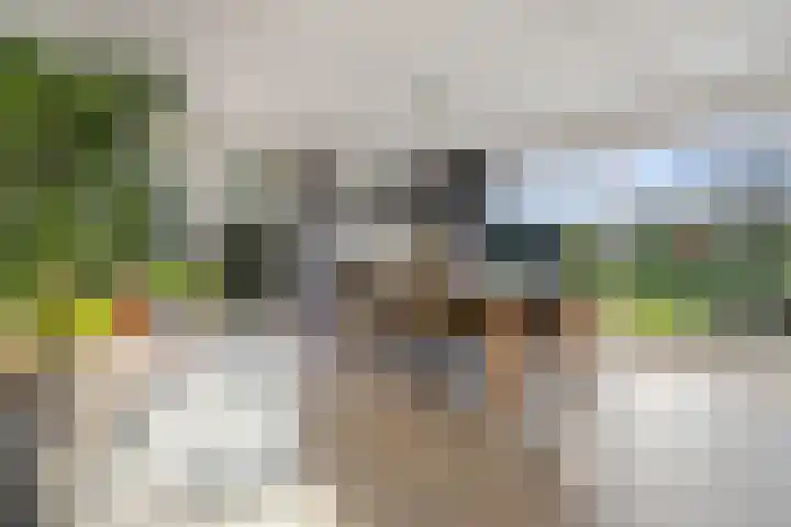 Schimmelpennincklaan 35 Etten-Leur thumbnail 8
