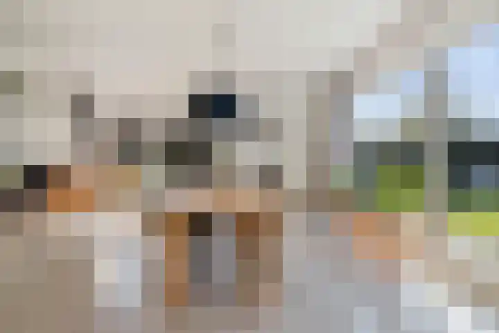 Schimmelpennincklaan 35 Etten-Leur thumbnail 9