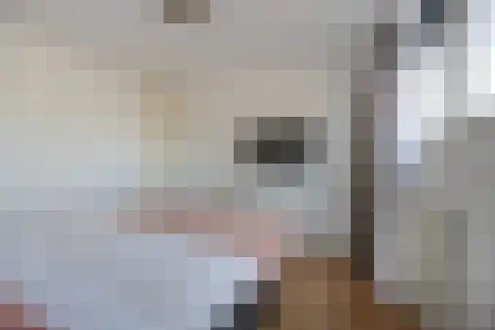 Schimmelpennincklaan 42 Etten-Leur thumbnail 21