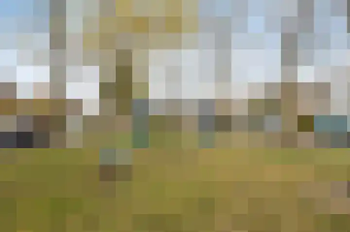 Schimmelpennincklaan 42 Etten-Leur thumbnail 34