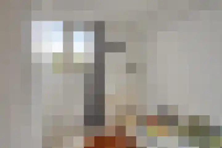 Schimmelpennincklaan 45 Wijhe thumbnail 24